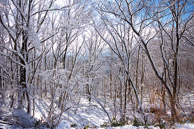 c0067040_23281685.jpg