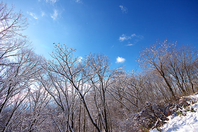 c0067040_2328758.jpg