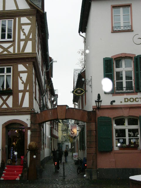 c0212741_1153497.jpg