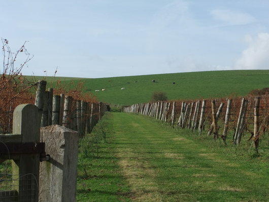 e0038047_22513855.jpg