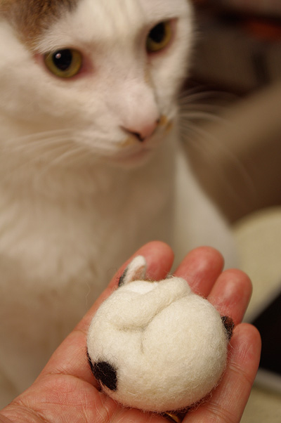 ヨウカンさん玉_a0028451_1333639.jpg