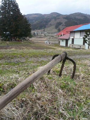 b0072651_12533511.jpg