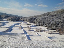 f0207652_9444388.jpg