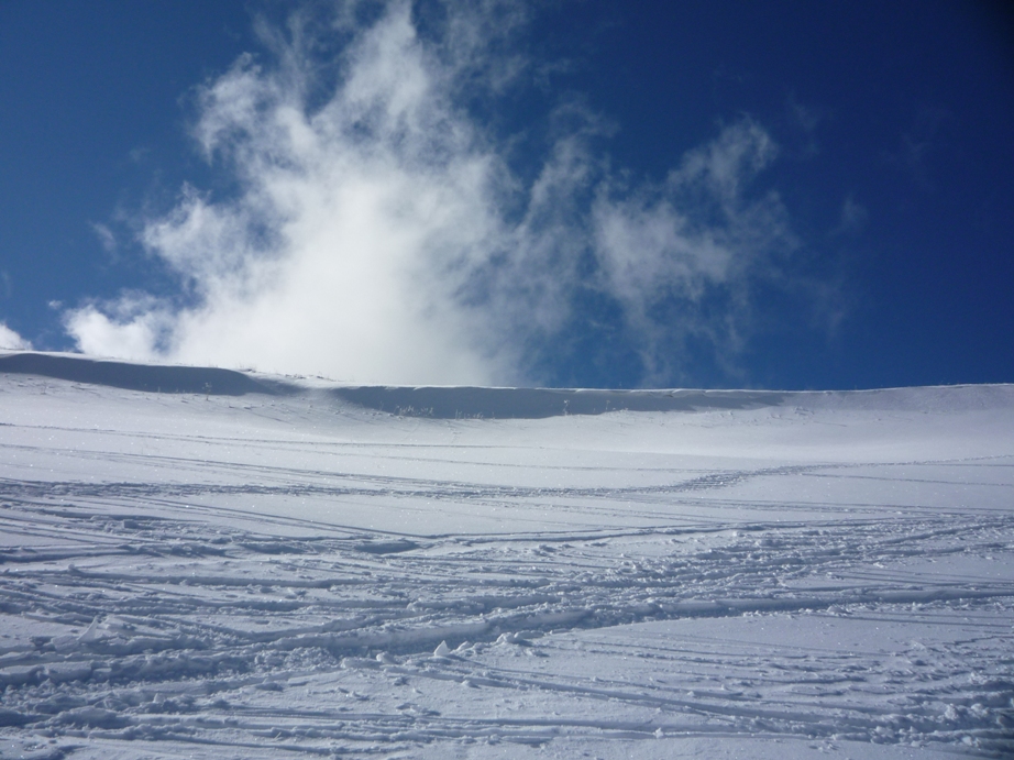 d0061857_19463441.jpg