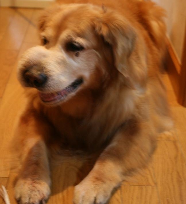 f0225871_0695.jpg