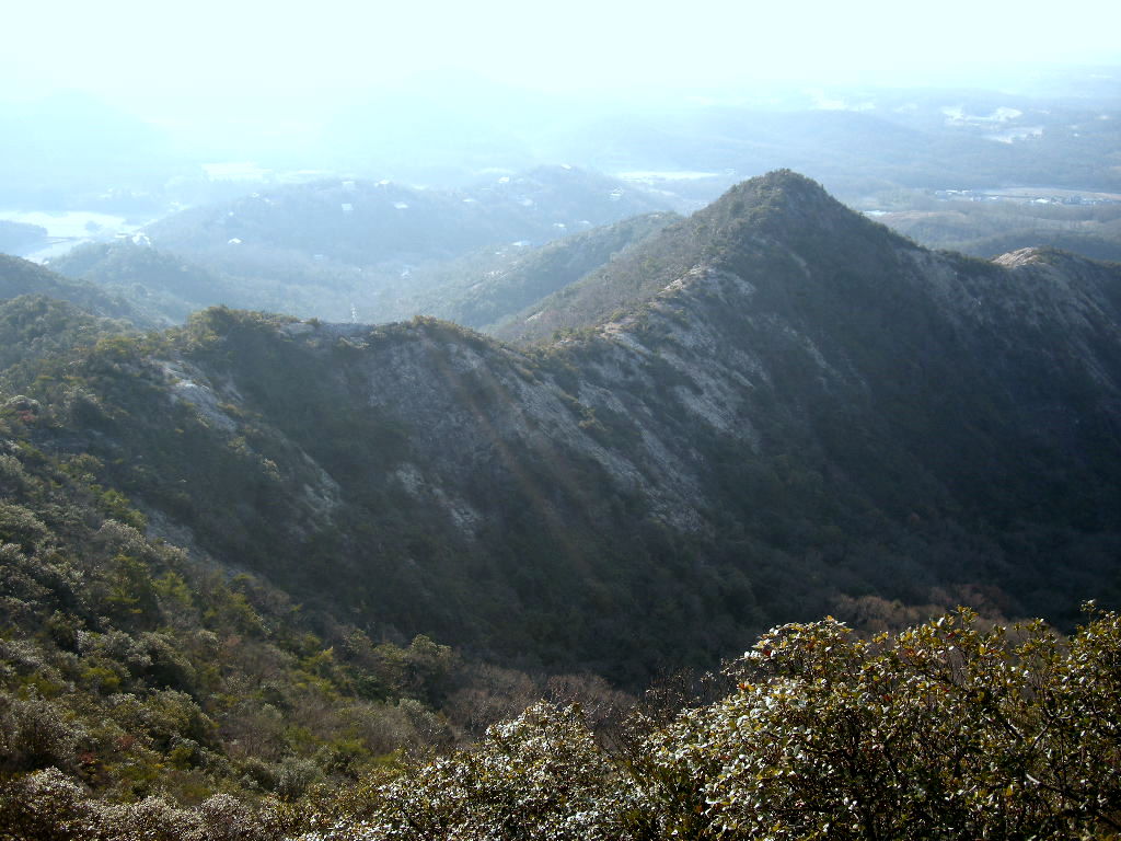 1年ぶり、やってきました三草アルプス（大坂山）_b0185573_1461719.jpg