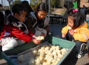 趣味の写真・・・デンパーク　　安城市_b0105374_7142496.jpg