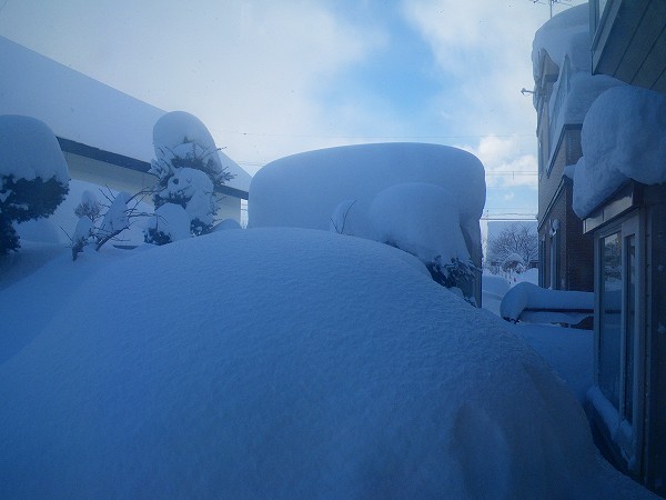 降り過ぎた雪は厄介者・・・_b0078177_153438100.jpg