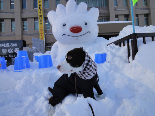 雪はほどほどが楽しい。_b0204977_16325433.jpg