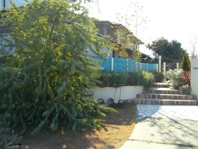 d0193483_23163226.jpg