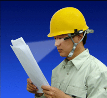 f0196887_135371.gif