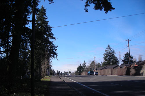 d0000995_17371237.jpg