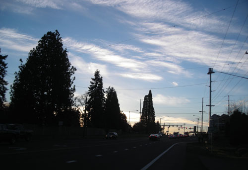 d0000995_17394090.jpg
