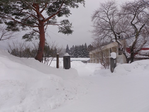 雪が積もる場所_a0138198_1574432.jpg