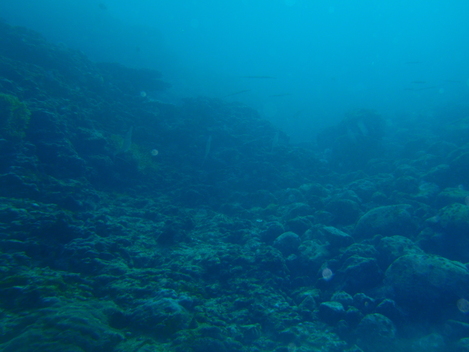 e0115199_19143576.jpg