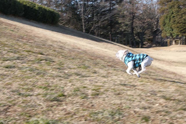 c0222400_18202630.jpg