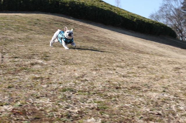 c0222400_18233394.jpg