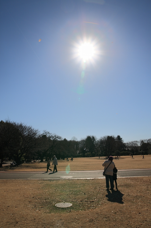 休日の公園にて_e0194300_22282472.jpg