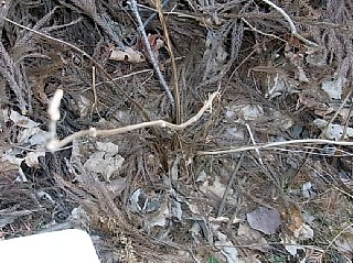 d0051601_23202451.jpg
