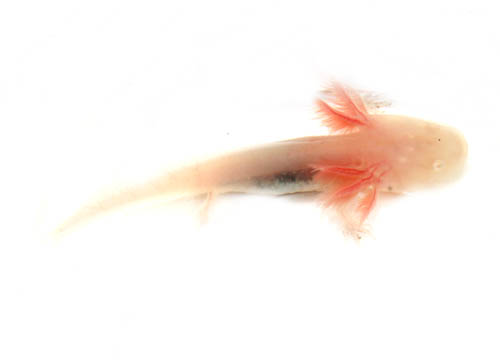 c0165803_20134661.jpg