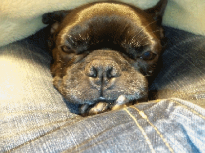 a0149304_20381454.gif