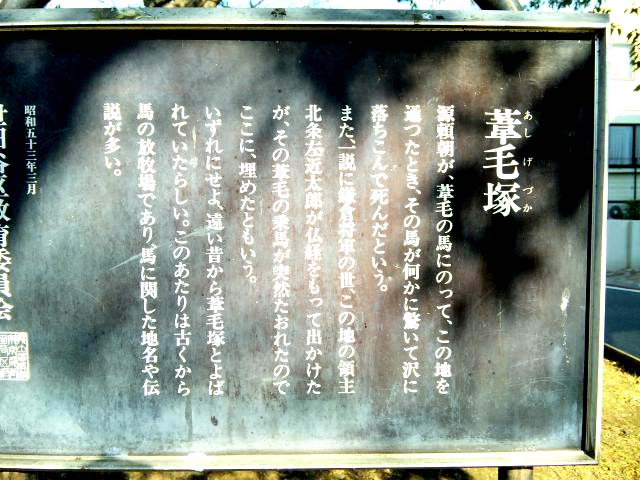 e0103408_17224239.jpg