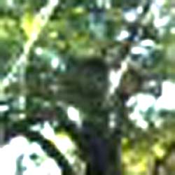 e0103408_17231256.jpg