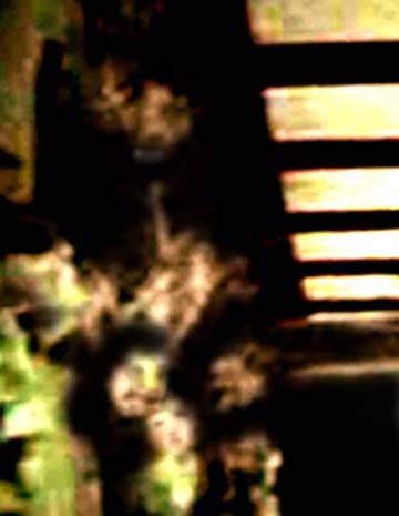 e0103408_18372235.jpg
