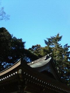 「初詣」_a0011909_11191567.jpg