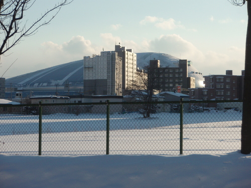 b0198109_10575651.jpg