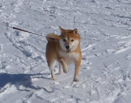 f0004309_2137930.jpg