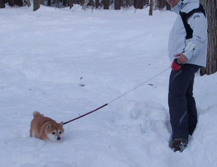 f0004309_21403136.jpg