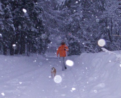f0004309_2201127.jpg