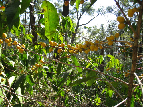 a0164012_1637145.jpg