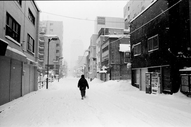 雪・・降りすぎorz_c0019115_842729.jpg