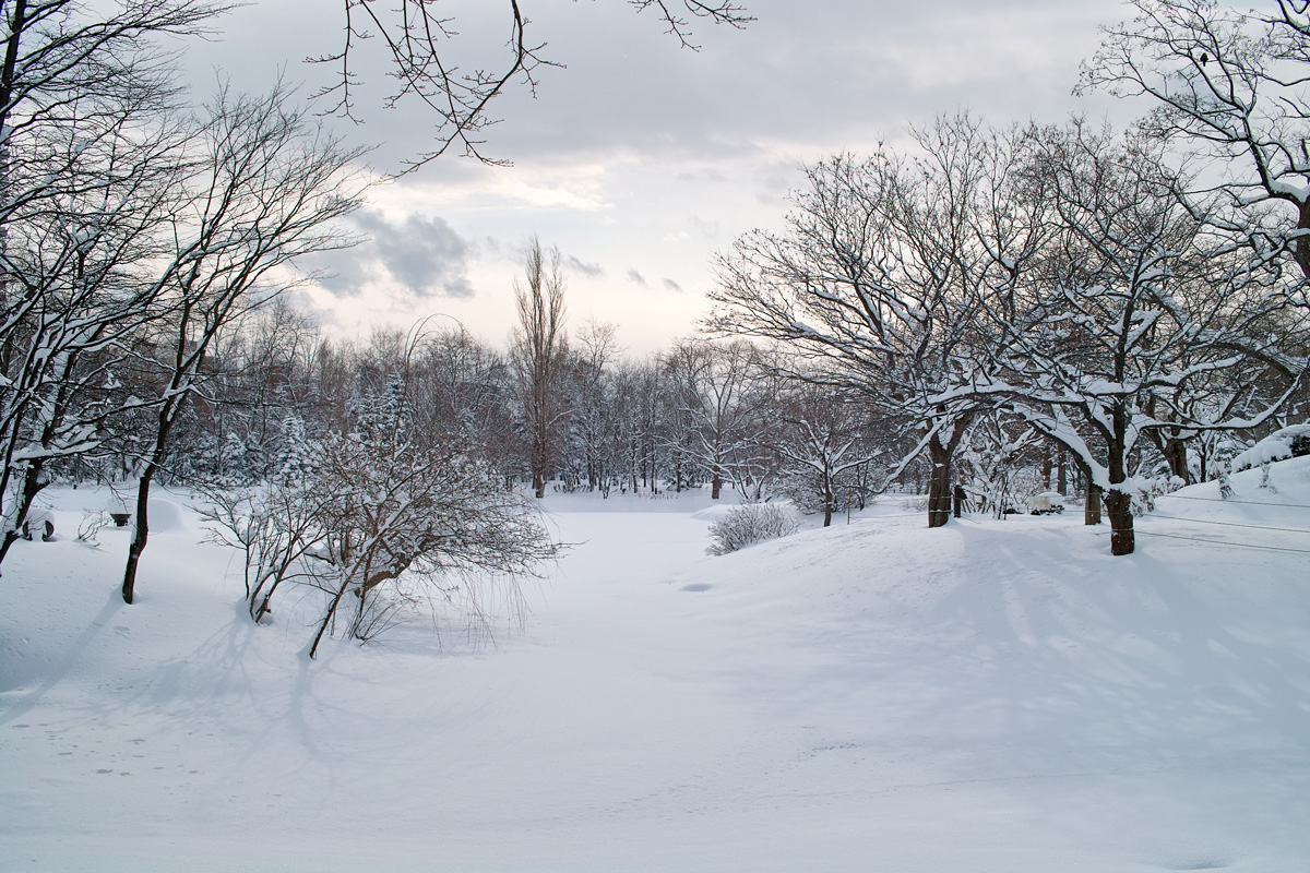 中島公園（札幌市）の美しい雪景色の朝_c0223825_2163325.jpg