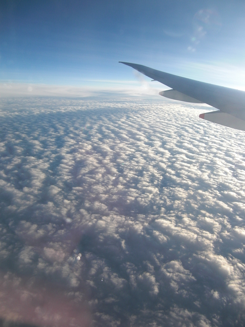 e0203331_1944972.jpg
