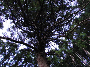 c0183137_0003.jpg