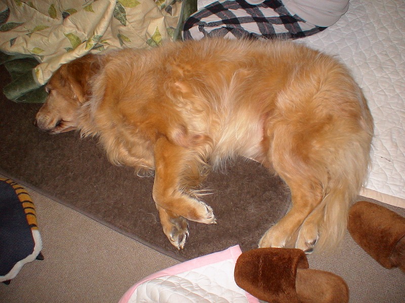 e0023643_23341731.jpg
