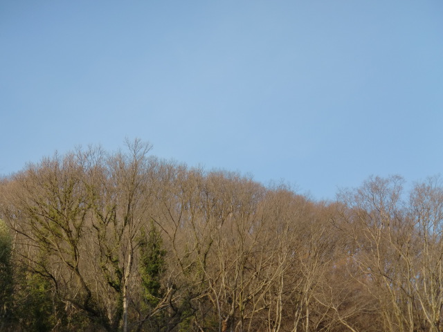 b0152548_16193111.jpg