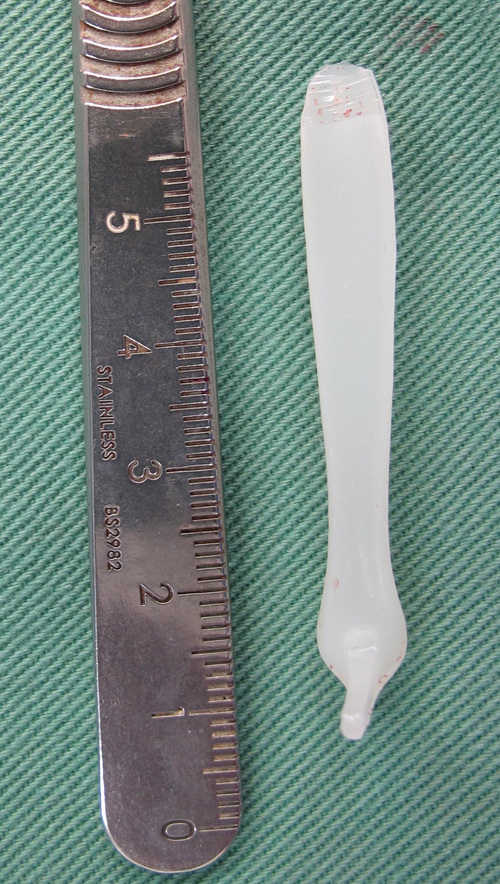 a0149149_1423587.jpg