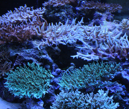 a0162261_20412925.jpg