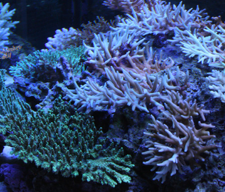 a0162261_20413587.jpg