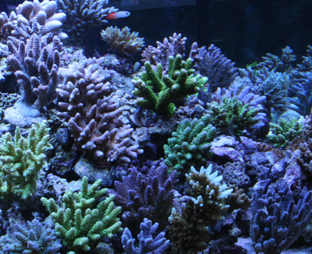 a0162261_20424686.jpg