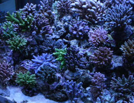 a0162261_20425261.jpg