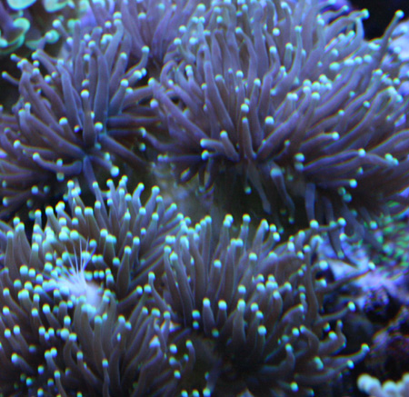 a0162261_20435067.jpg