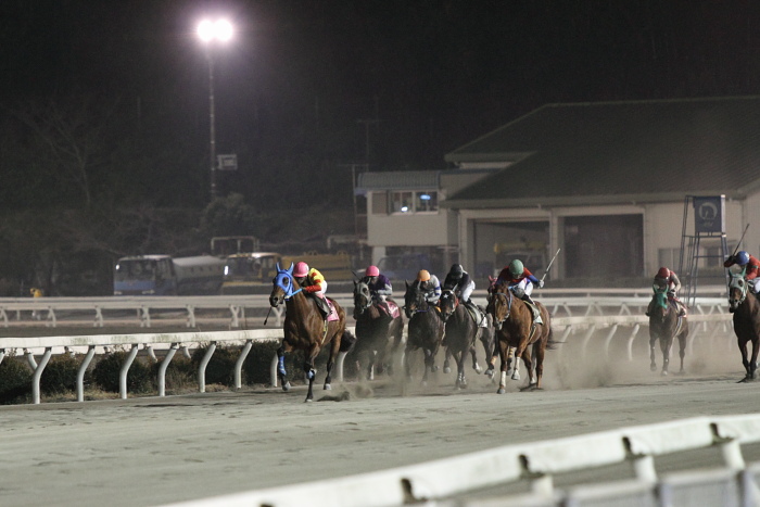 2011年1月9日（日） 高知競馬 8R 高知県獣医師会協賛 高知県獣医師会6特別 B-2_a0077663_8355585.jpg