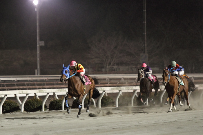 2011年1月9日（日） 高知競馬 8R 高知県獣医師会協賛 高知県獣医師会6特別 B-2_a0077663_836955.jpg