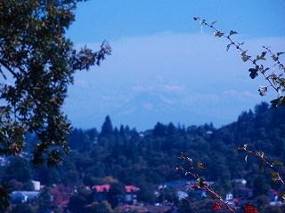e0198172_955337.jpg