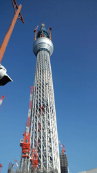 f0082772_2154317.gif